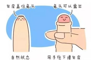 上海九龙医院割包皮技术怎么样?